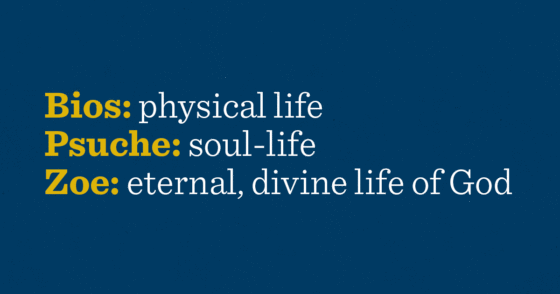 3 Greek Words for Life in the New Testament and How They Apply to Us