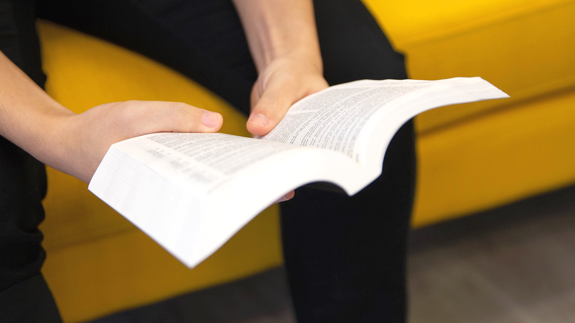 7 Compelling Reasons to Read the Bible | Bibles for Australia Blog