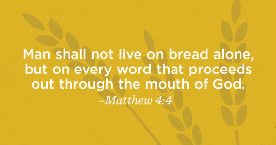 A Revolutionary Concept about the Bible