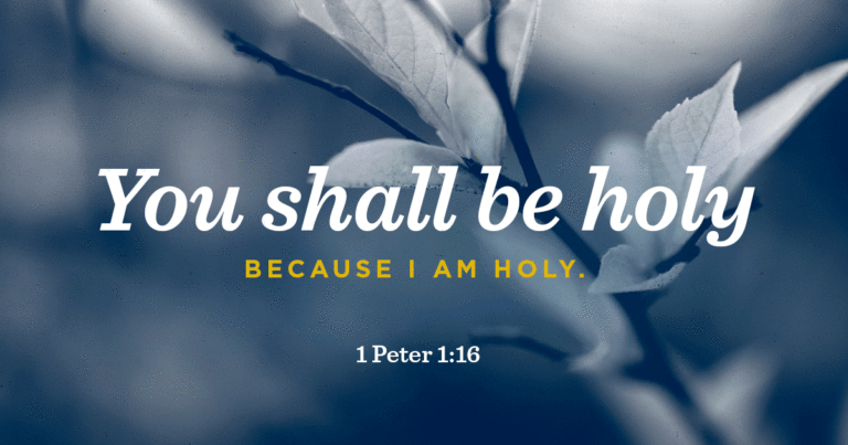 be holy meaning